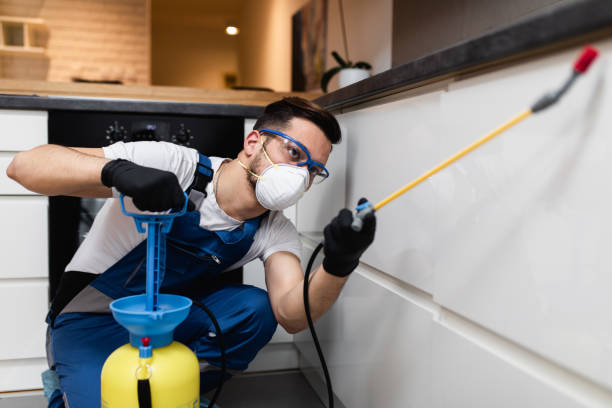 Best Pest Inspection Near Me  in Gifford, FL