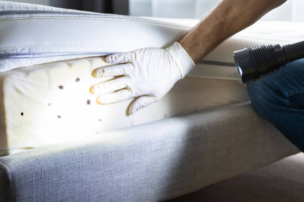 Best Residential Pest Control  in Gifford, FL
