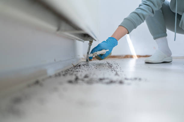 Best Bed Bug Extermination  in Gifford, FL